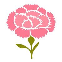 Illustration of pink carnation on white background vector