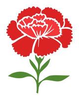 Illustration of beautiful red carnation on white background vector