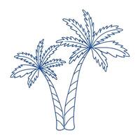 Two tropical palm trees with intricate detailing of fronds and trunks vector