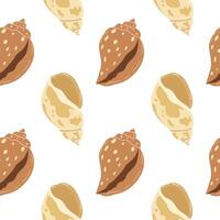 Decorative shell patterns on a white background create a unique coastal aesthetic vector