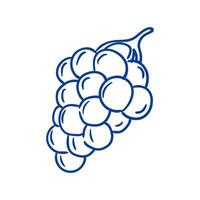 Fresh bunch of grapes hanging from a vine in natural setting under bright sunlight vector