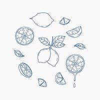 Vibrant lemon illustrations surrounded by slices and leaves in a minimalist design vector