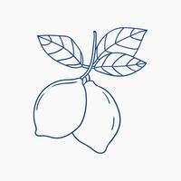 Fresh lemons hanging from the branch, showcasing vibrant green leaves in simple design vector
