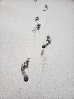 Top view of human barefoot footprints in fresh white snow. Minimalist winter scene symbolizing solitude, cold, and the quiet of nature. photo