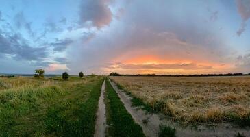 A scenic rural landscape showing a dirt road between grassy and harvested fields under a vibrant sunset sky. The warm evening light and dramatic clouds create a peaceful and natural atmosphere. photo