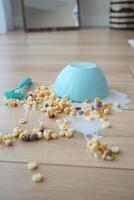 Cereal bowl spills on wooden floor creating a messy cleanup photo