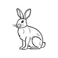 Rabbit Line art illustration isolated on white background vector