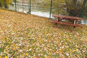 Autumn leaves blanket the ground by a lakeside picnic table photo