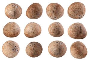 Collection of coconuts Isolated on a white background photo