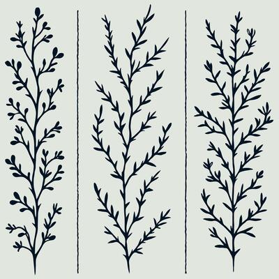 Hand drawn branches Botanical drawing. Simple stick line art frieze, stems illustration. Black and White Meadow herbs. Stylized blooming twigs plants. Set of outline doodle floral sketch Leaves border