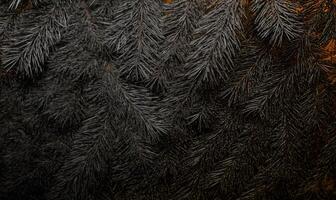 Dark Pine Needles Texture Background - Abstract Close Up of Dense Conifer Foliage Natural Pattern Design photo