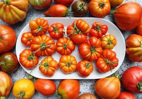 Fresh colorful ripe fall or summer heirloom variety tomatoes over table background. Harvest and cooking tomato sauce concept photo