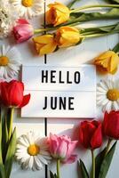 hello june - flowers photo