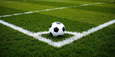 A soccer ball on the grass in front of a white line photo