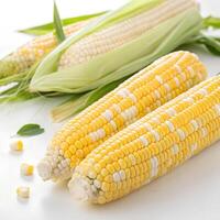 Two yellow and white corn cobs with some loose kernels, two white corn cobs with green leaves in a white background photo