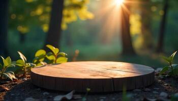 A wooden podium with a plant on top in a forest with the sun shining through the trees photo