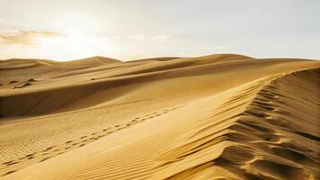 Sand dunes with footprints in the desert under a clear sky, the warm sunlight casting shadows on the undulating landscape photo