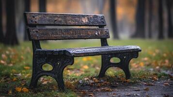 A rustic bench sits in a serene park, surrounded by fallen leaves as twilight approaches photo