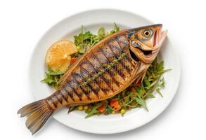 Grilled fish on plate, isolated on white background. photo