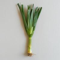 features a bunch of green onions, also known as scallions, hanging in front of a white wall. photo