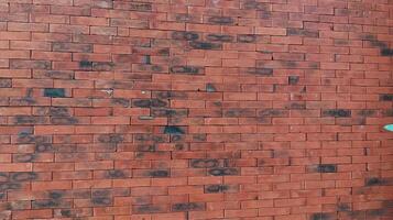 Brick wall texture background photo