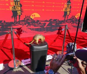 Willie Nelson's 90th birthday red carpet