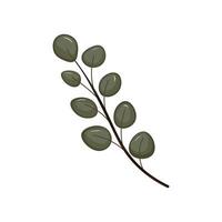 Green leaves on twig in flat design. Springtime garden leaflets branch. illustration isolated. vector