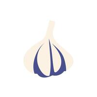 Garlic in flat design. White aromatic bulb for seasoning and condiment. illustration isolated. vector