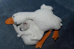 Cuddle with our adorable plush duck and cat for a heartwarming, cozy experience photo