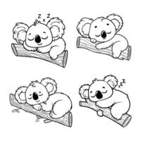 Cute koala sleeping on a tree branch. Bundle vector