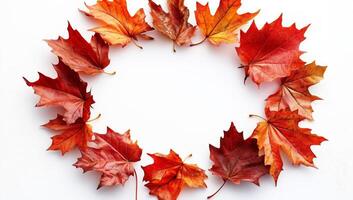 Autumn Leaves Create a Vibrant Circular Arrangement on a White Background photo