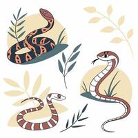 Stylized Snake Illustration Three Unique Designs, Botanical. vector