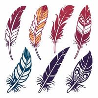 Boho Feathers 8 Vintage Colorful Feathers for Design. vector