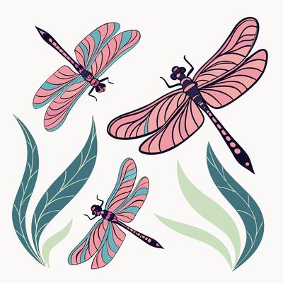 Pink and Teal Dragonfly Illustration Nature Design, Floral.