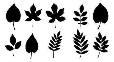 Black Silhouette Leaf Set Botanical Icons vector