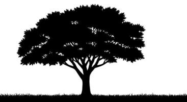 Silhouette of a Lush Deciduous Tree vector