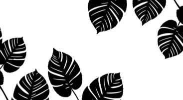 Black Monstera Leaves Frame vector