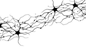 Abstract Neural Network Branches vector