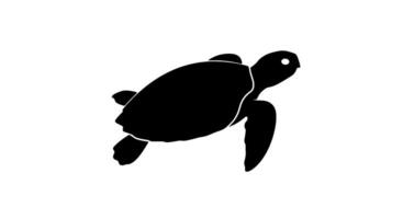 Sea Turtle Silhouette Icon Monochrome Aquatic Design vector