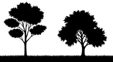 Two Silhouette Trees and Grass vector