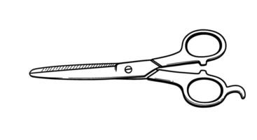 Handdrawn Barber Scissors Sketch vector