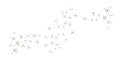 dandelion logo background design dandelion plant template flying vector
