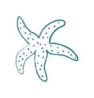 Starfish silhouette shape chalk style. Marine creature in an ocean context. Underwater life in a flat style, ideal for summer themes, educational materials, or aquarium decor. vector