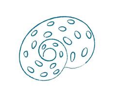Chalk style seashell doodle. Crayon seashell snail, aquatic creature from the ocean. Underwater marine life with texture, flat design, potential for summer backgrounds. vector