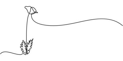 Poppies flower continuous one line drawing, abstract minimal poppy editable vector