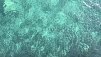 Exploring the Beauty and Tranquility of Clear Aquatic Waters Under Bright Sunlight and Gentle Waves video