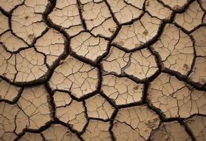 Parched Earth A Detailed View of Cracked Dry Soil Displaying a Pattern photo