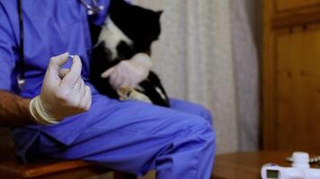 A doctor is holding a cat while holding a pill for his treatment video