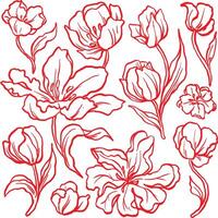 Bold red parrot tulip pattern sketch, perfect for vibrant floral designs, textiles, and nature-themed projects. vector