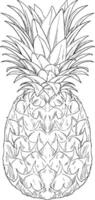 Hand-drawn pineapple sketch with detailed textures, great for tropical, food, or summer-themed designs. vector
